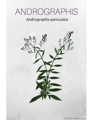 Právenka latnatá 40 g