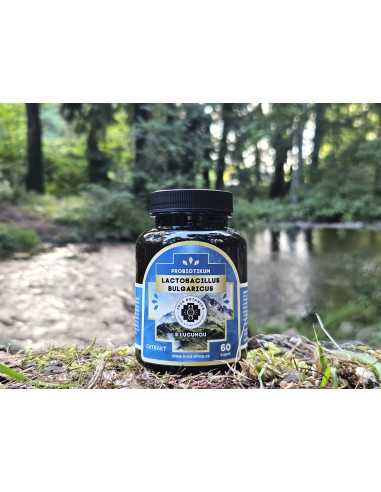 Lactobacillus Bulgaricus s lucumou 60 kapslí